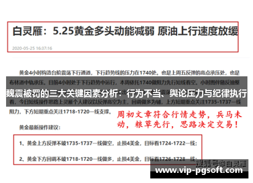 魏震被罚的三大关键因素分析：行为不当、舆论压力与纪律执行
