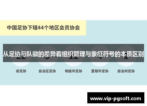 从足协与队徽的差异看组织管理与象征符号的本质区别