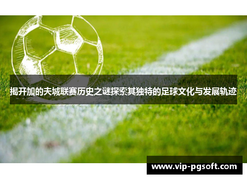 揭开加的夫城联赛历史之谜探索其独特的足球文化与发展轨迹